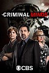 Mentes criminales (13ª Temporada)